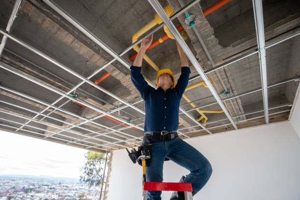 Best Plumbing Services Near Me  in Richmond, IL