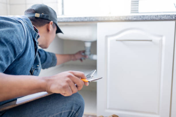 Best Same-Day Plumbing Service  in Richmond, IL